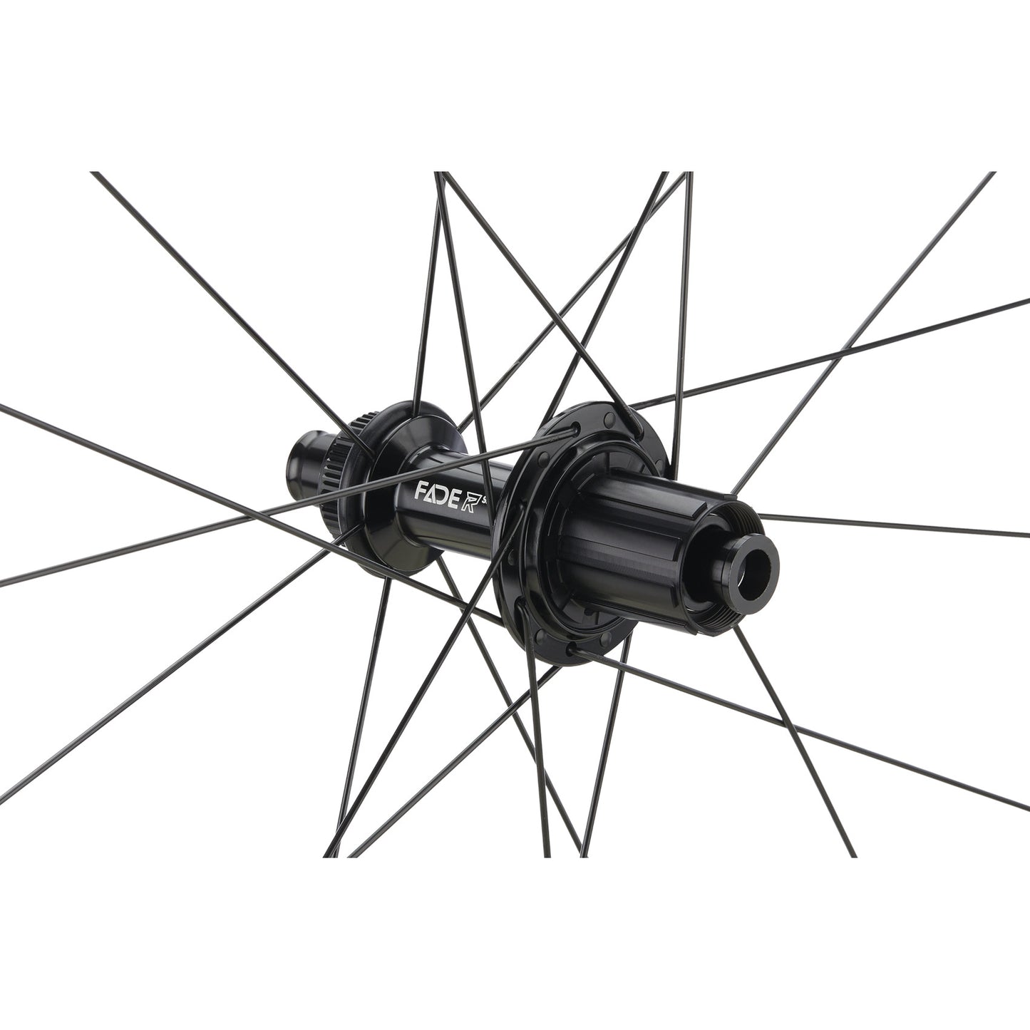 Newmen Advanced A.50 Shimano HG rear wheel and freehub detail