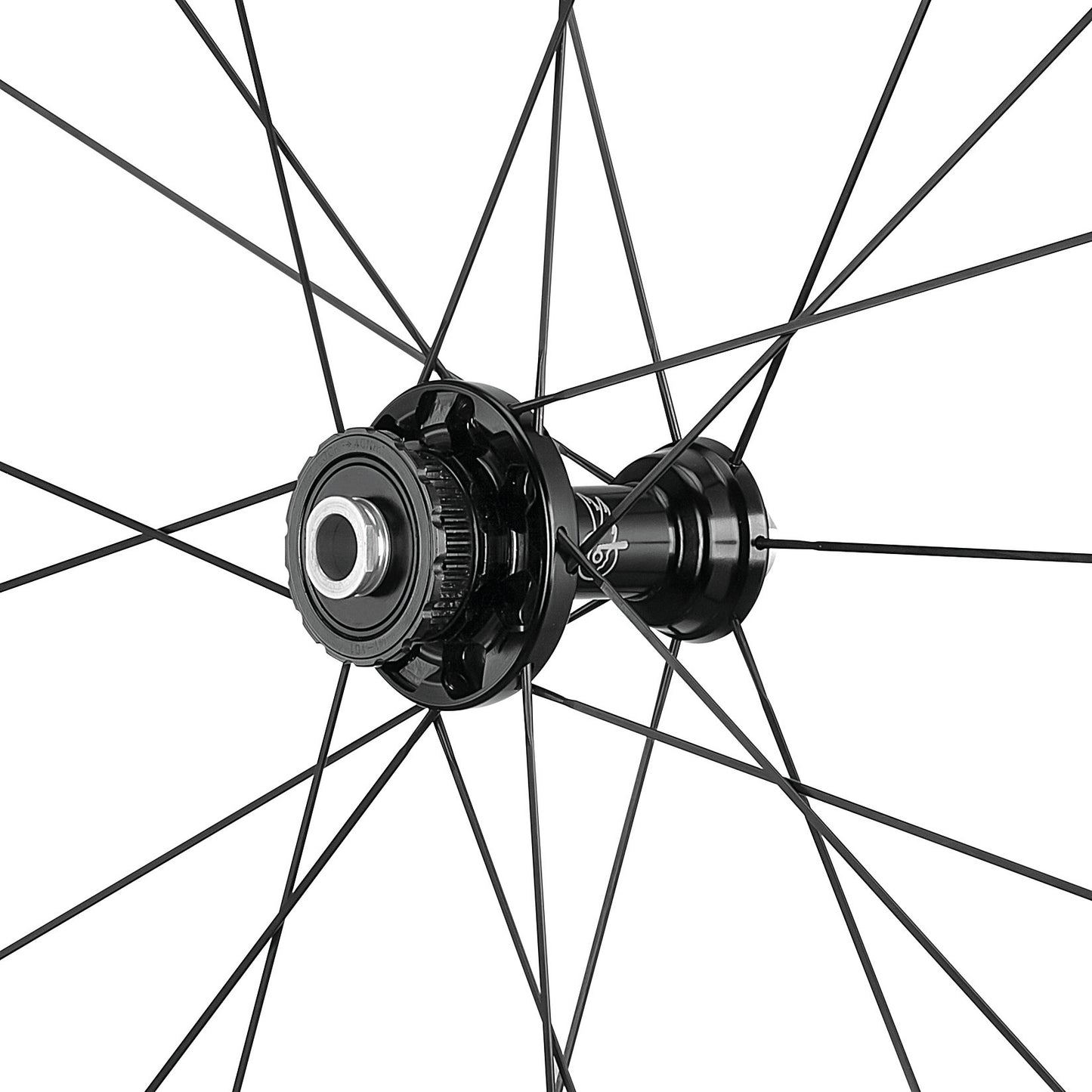 Campagnolo Hyperon N3W freehub and rear wheel detail
