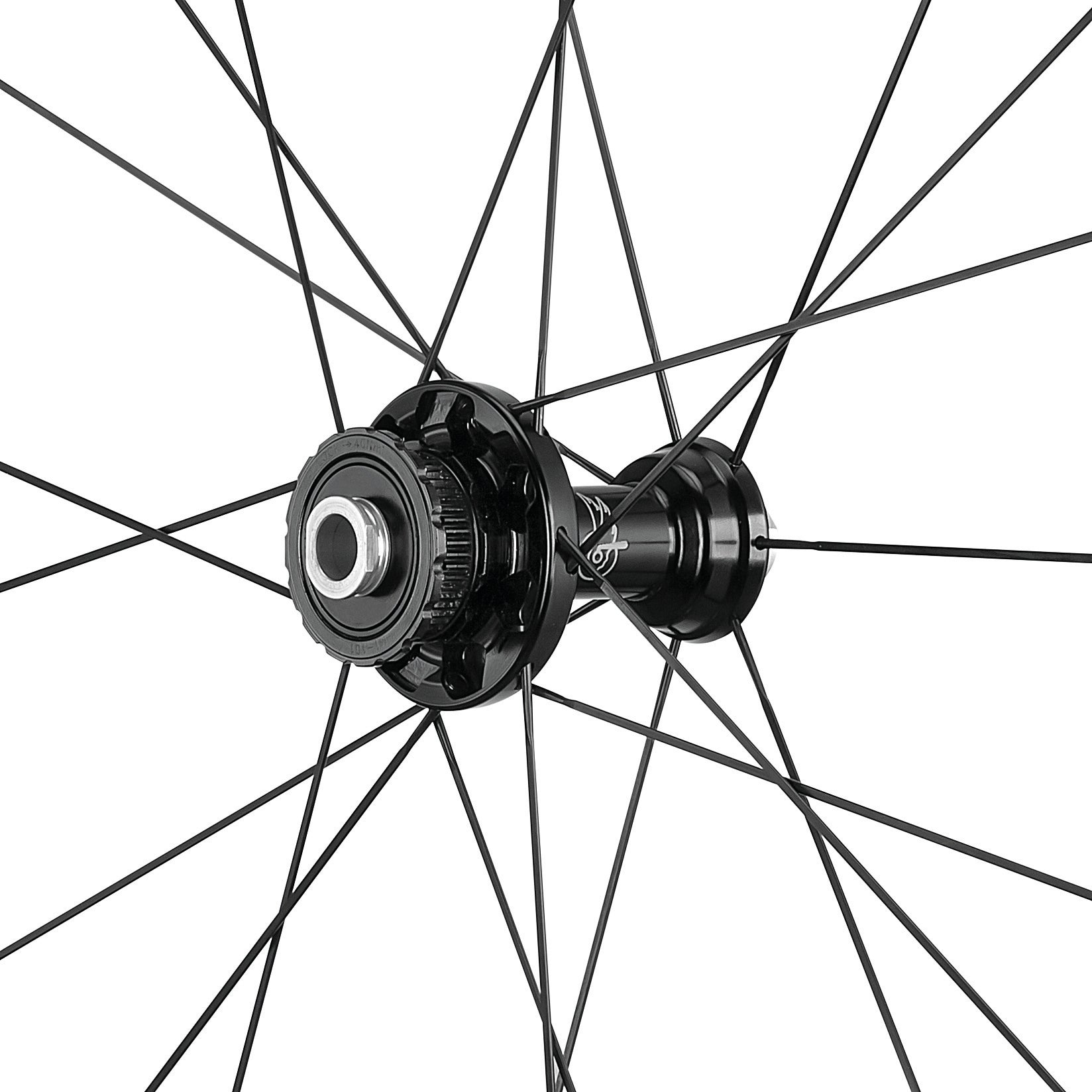 Campagnolo Hyperon N3W freehub and rear wheel detail