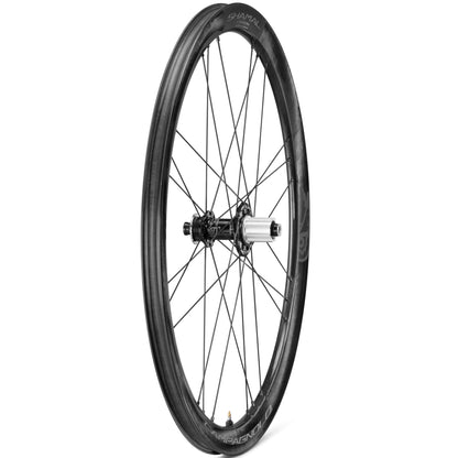 Campagnolo Shamal C21 DB endurance carbon wheelset side view