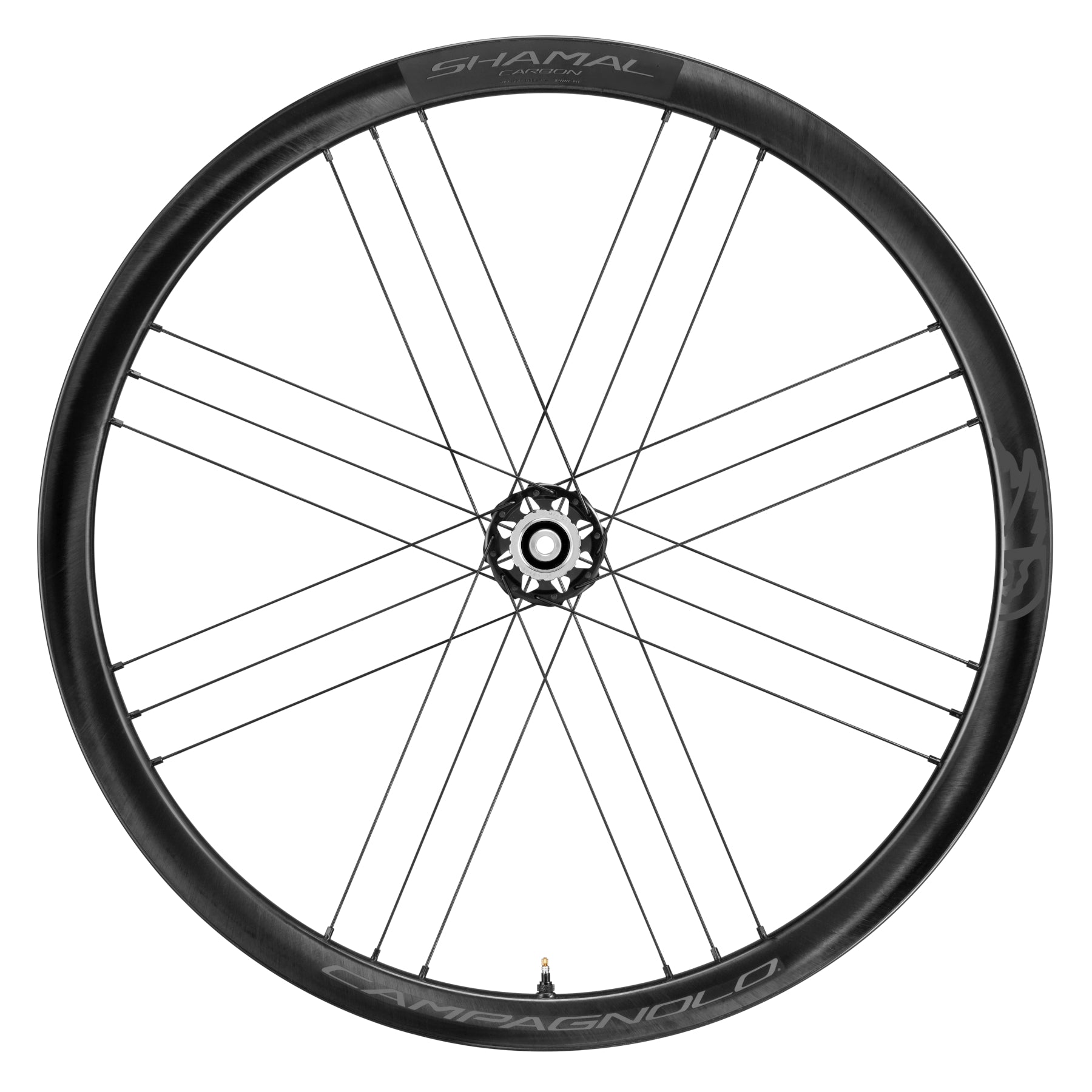 Campagnolo Shamal C21 DB carbon disc wheelset product view