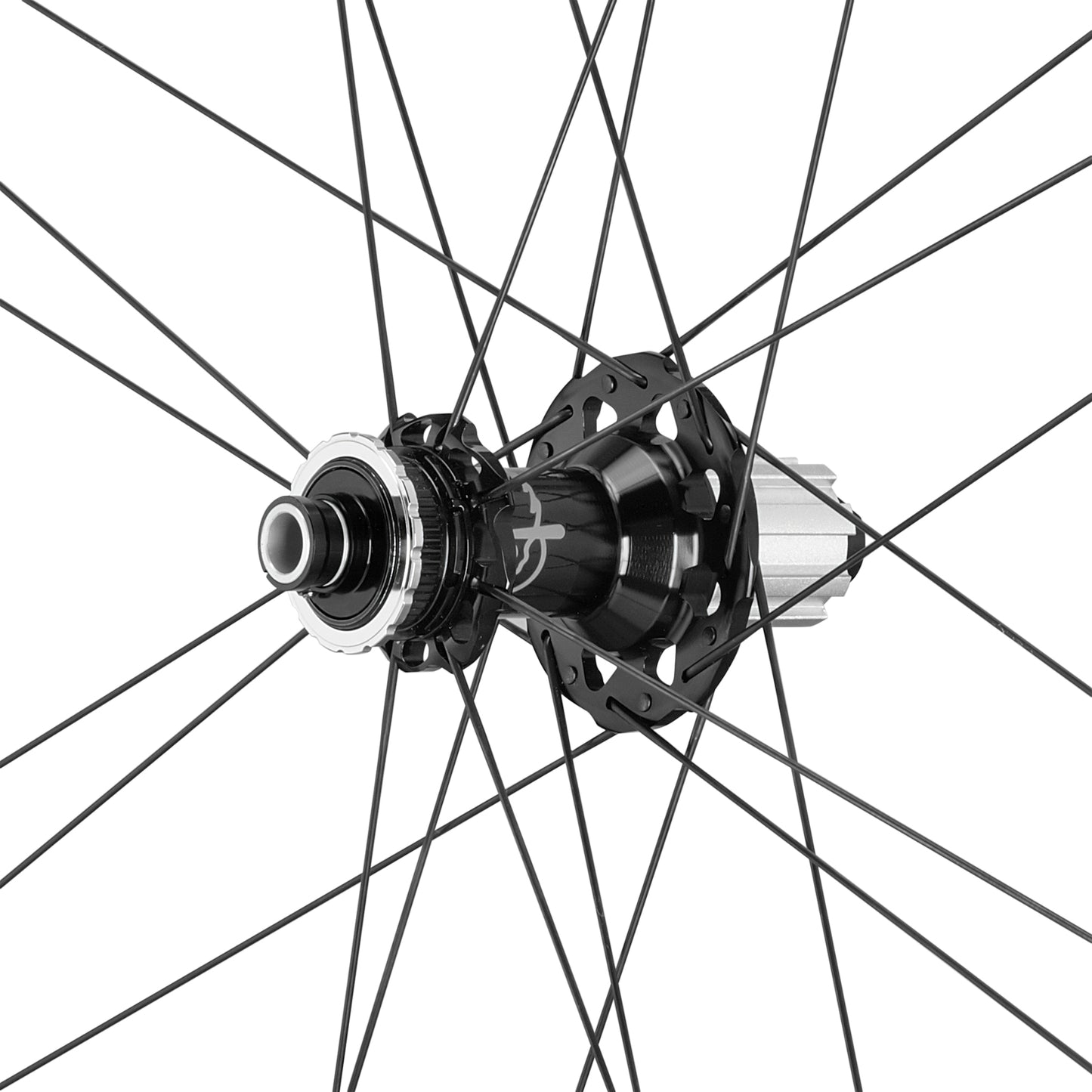 Campagnolo Shamal C21 DB N3W freehub and rear hub detail