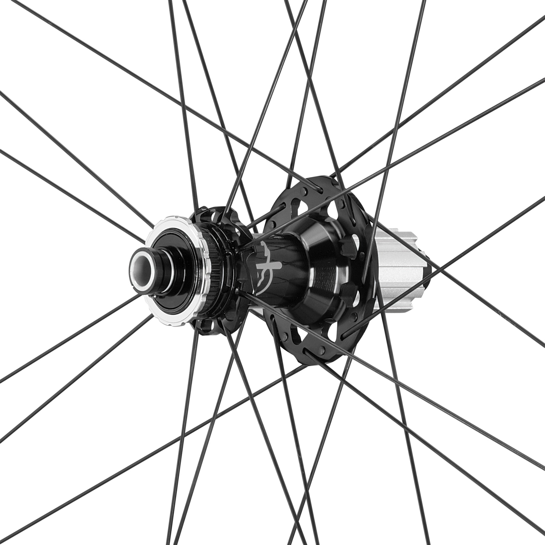 Campagnolo Shamal C21 DB N3W freehub and rear hub detail