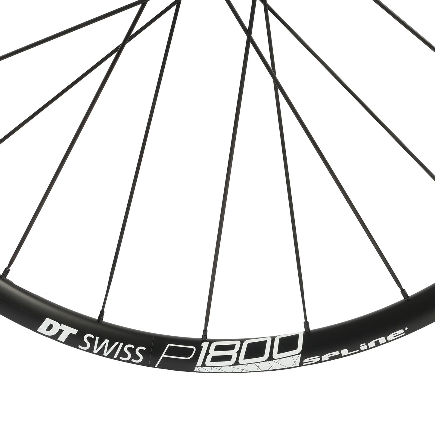 DT Swiss P 1800 SPLINE 23 Centerlock disc brake wheel
