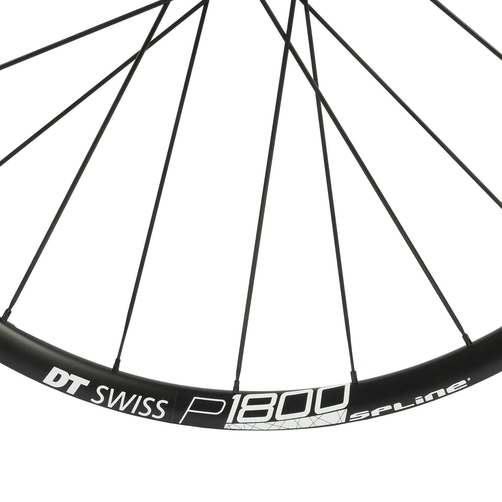 DT Swiss P 1800 SPLINE 23 Centerlock disc brake wheel