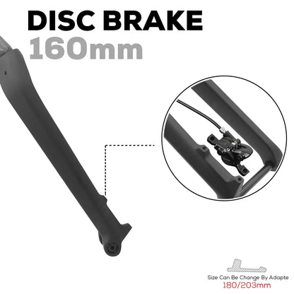Full Carbon MTB Fork for XC & Gravel | 15*110mm Boost Thru-Axle | Fits 26/27.5/29" | Disc Brake |  Straight/ Tapered Steere